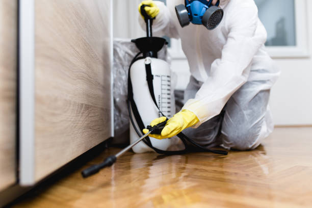 Best Best Pest Control Companies  in Jerseyvle, IL