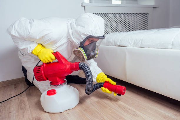 Best Flea Control Services  in Jerseyvle, IL